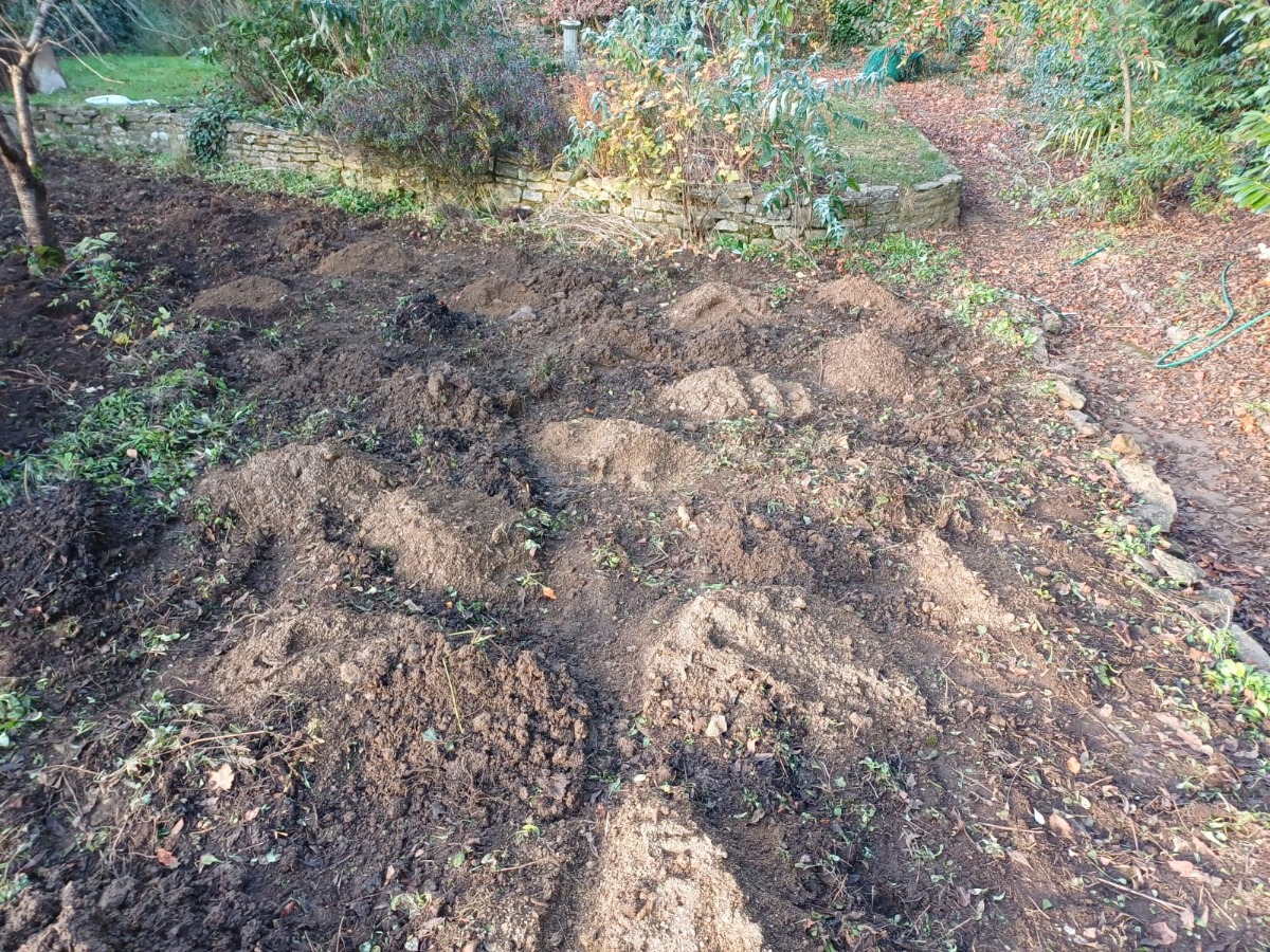 Landscaper: Image 4